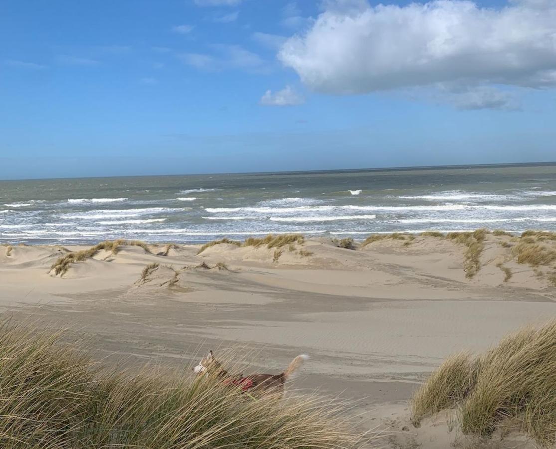 Moderne Studio Aan Het Strand In Oostduinkerke-Bad Koksijde Zewnętrze zdjęcie